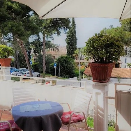 Matohanca ロヴィニ