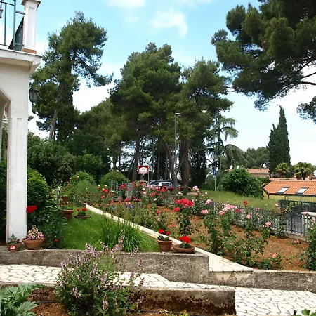 Matohanca 3* Ровинь