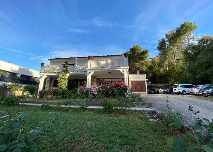 לינה וארוחת בוקר Matohanca רוביני