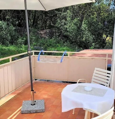 לינה וארוחת בוקר Matohanca