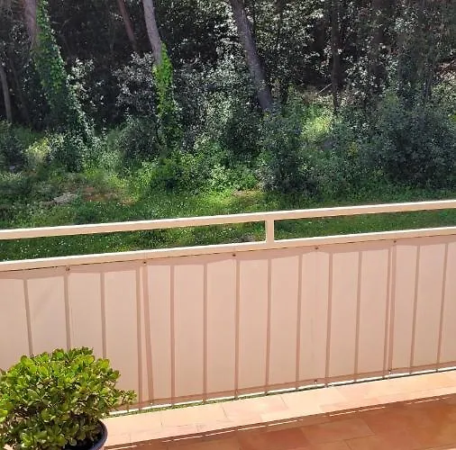 Matohanca לינה וארוחת בוקר רוביני